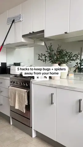 Say goodbye to spiders + bugs around your home 👋🕷️🦟 1. Fill a vase with water and coins. The reflection confuses flies and keeps them away  2. Mosquitos hate the smell of coffee, so boil leftover coffee and clove to make your home smell amazing 3. Place bay leaves in your pantry to keep pantry bugs away 4. And you can also place them in your wardrobe to keep moths away  5. And pour boiling water down your drains to prevent flies and spiders entering Hope these were helpful lovelies xx  #cleaninghacks #cleaningtips #CleanTok #cleaningtiktok #homehacks #hometips 