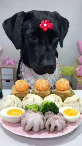 #labrador #Foodie #pets #dog #cute 