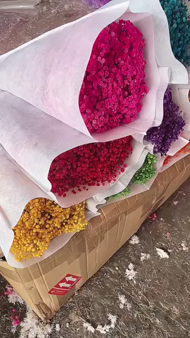 100g-120g Hoa baby khô decor #tinhyeu #capdoi #hoababy #hoakho #hoababykhô 