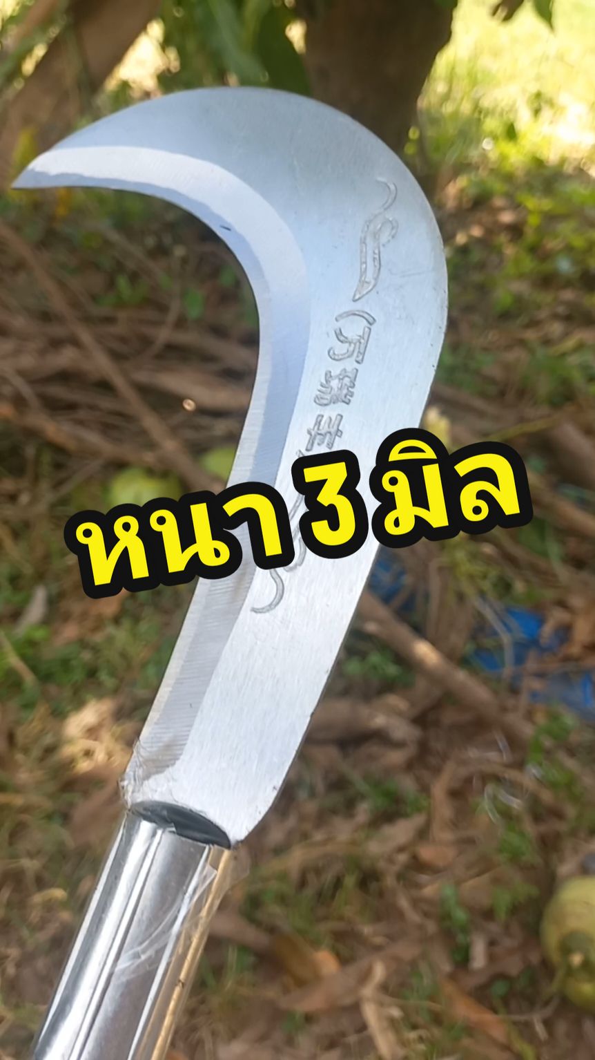 ตอบกลับ @pp_jansuda_00 มีดใช้งายอเนกประสงค์#มีดถางหญ้า #เคียวตัดปาล์ม #ขอชักตอง #เคียวเหล็กแมงกานีส 