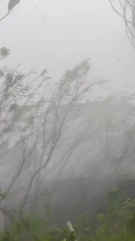 ATM @ Cingjing Nantou...   ngayon lang ako naka experience ng ganito kalakas na bagyo... nakakatakot .. every hampas Ng hangin nakakakaba.#taiwanofw #mindoreña #hotelworker #typhoonkongrey #nantou 