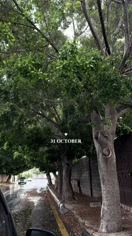 يافرحة يعقوب بـ يوسف مُرّي بنا .