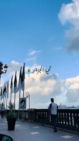 #تحياالجزائر #الجزائر #الاستقلال #الشعب_الصيني_ماله_حل😂😂 #fyp #algeria #algerie🇩🇿 