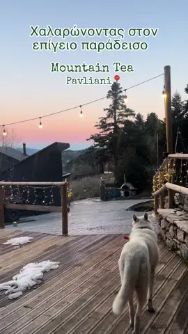 Ξέρεις που θα μας βρείς …Στην Παύλιανη φυσικά! 📍🌲#mountaintea #mountains #mountainsview #domes #domestic #view #travel #traveltheworld #pavliani #greece #hotelsandresorts #house #houseoftiktok 