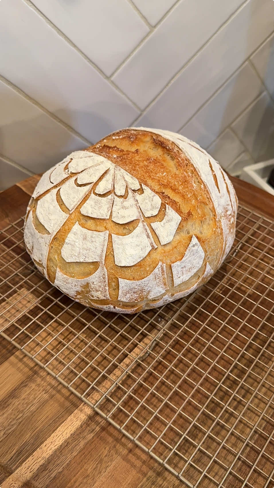 🕷️🕸️ Happy Halloween 🕸️🕷️  #sourdough #halloween #sourdoughscoring #sourdoughbread #fyp #happyhalloween 
