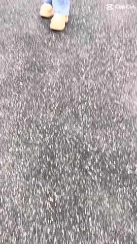 ✌️🖤