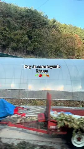 This is Andong Korea and I recommend it 🧡#fyp #fypシ #korealife #korea #korean 