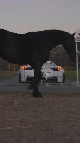 The inspiration and the creation #fyp #cartok #carsoftiktok #ferrari #ferrari458 