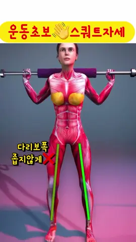 무릎안아픈 스쿼트 자세 운동 초보자 스쿼트 할때 허리아프고 무릎 아팠다먼 3가지 점검해봐요 1 스쿼트 시작전 다리넓이 너무 좁지않은지 2 굽은등 아니고 허리 쭉폈는지 3 스쿼트 내려갈때 무릎간격 좁아지는지 #스쿼트 #스쿼트자세 #스쿼트효과 #스쿼트100개 #써니요가 #홈트는써니요가 #써니요가줄넘기 #sunnyyoga 