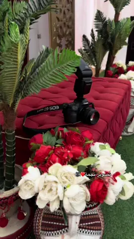 #عرس_ليبي 