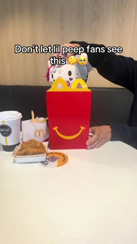 Lil peep hello kitty plushie😭❤️ #lilpeep #hellokitty #hellokittylover #plushie #mcdonalds #plushies 