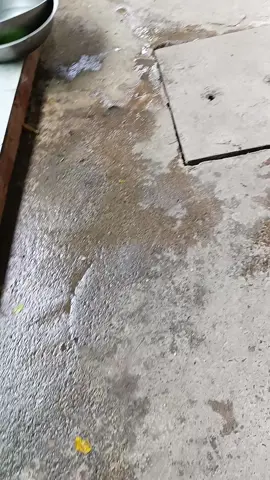 #embedethuong  #embedangyeu  #chiemthichquay 