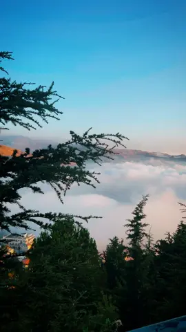 #canada_life🇨🇦 #ناصر_الوبير #إهدن#lebanon🇱🇧 