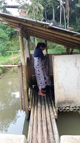 debes sengklek#videolucungakak #ngakakkocak #bodorsunda 