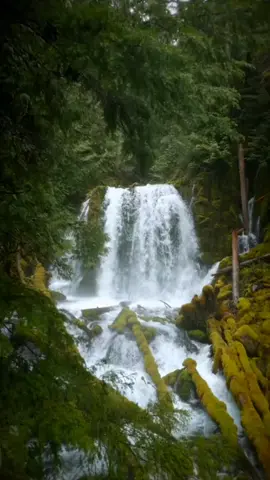 What would we say in the face of this scene?