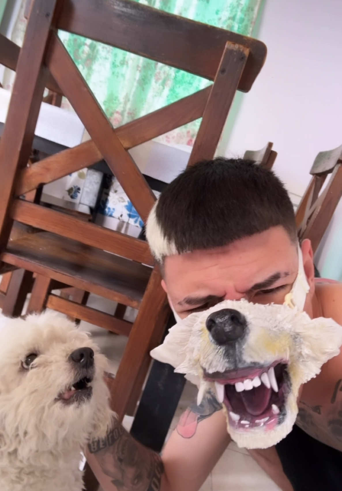 VOLVIO EL LEYENDA 🔥 EL PRIMO SAAAANDRY 😈😂❤️ • • • • • • • • • • #fyp #perros #perrostiktokers #argentina🇦🇷 #rap #viralvideos #paratiiiiiiiiiiiiiiiiiiiiiiiiiiiiiii #EA #yzxcba #beatbox #funnytiktok #viralditiktok 