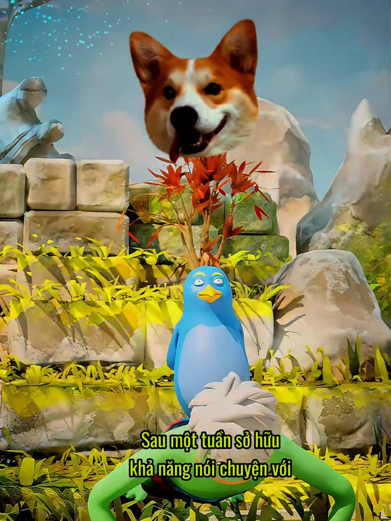 Chào mừng NNN 🫶 #leubao #glxnetwork