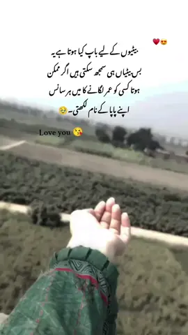 Allah Pak mery baba ko sehat wali zindgi dy Ameen sum Ameen ❤️😍  #poetrystatus #trendingvideo #urduline #viral_video #ashi 