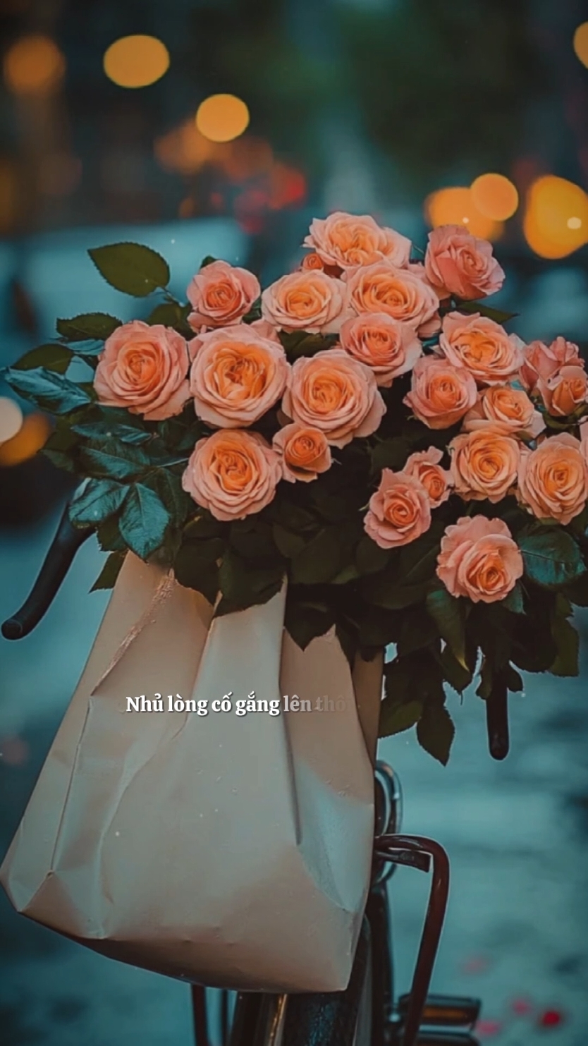 Mùng 1 tháng 10 âm lịch bình an... #nhachaymoingay #podcast 