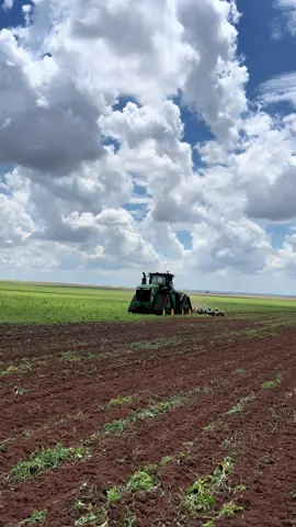 Tom de verde diferenciado 🚀🚜🌱