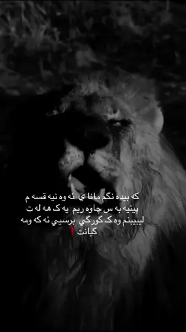 #suhaelharki #foryou #fpy 