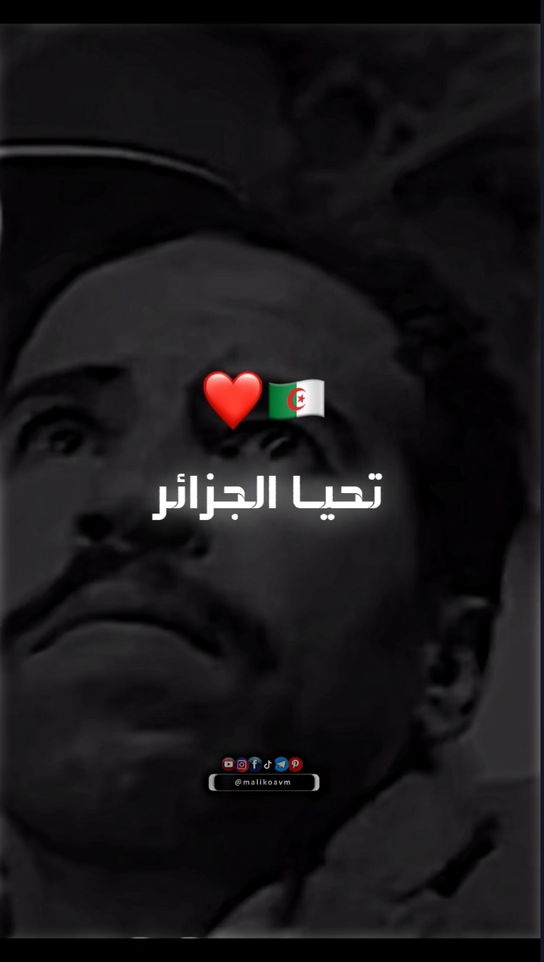 تحيا الجزائر 🇩🇿🫡❤️  #تهلاو_خاوتي_نحبگم_ڨااع_هناا💕 #algérie🇩🇿 #fypシ #malikoavm #الشعب_الصيني_ماله_حل😂✌️ #explore #foryoupag #storytime #foryou #pourtoi #ستوريات #مصمم_فيديوهات #1نوفمبر1954_وتحياا_الجزائر #1نوفمبر #تحيا_الجزائر 