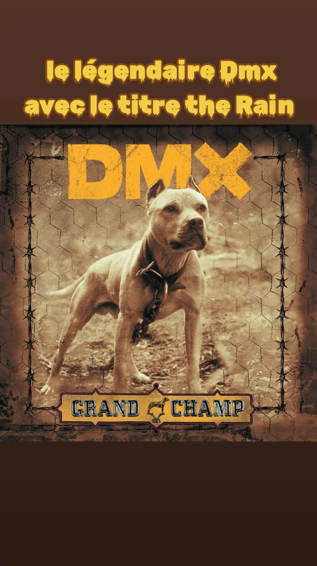 #fyyyyyyyyyyyyyyyy #fy #rap #hiphopmusic #hiphop #ruffryders #dmx 