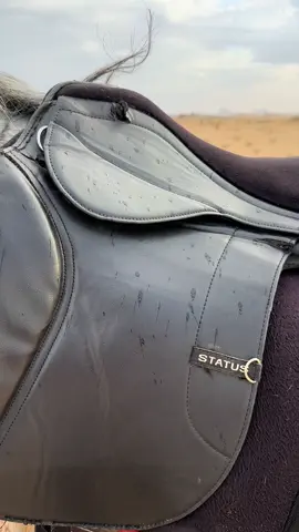 اجواء #بيشه اليومين ذي ثقه🤙🏻#مطر#خيل_وخياله🐎 #حصاني #اجواء_الشتاء #الشعب_الصيني_ماله_حل😂😂 #مارق 