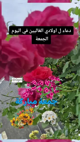 #جمعة_مباركة #ليلة_الجمعة #جمعة_مباركة 