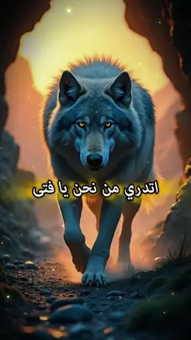 اتدري من نحن يا فتى #أقوال_و_أحكام  #اقوال_وحكم_الحياة  #كلام_من_ذهب  #مشاهير_تيك_توك_مشاهير_العرب  #مشاهير_تيك_توك  #حكمة_اليوم  #تحفيز_الذات  #مقولات  #اقتباسات  #تحفيز  #عرب  #عبارات  #خواطر  #رحلة  #fy  #capcut_edit  #marocaine🇲🇦  #viralllllll  #video  #foryour