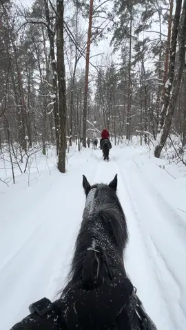 ~ شتاء موسكو ❄️ . #موسكو #moscow #travel #typ #fypシ゚ #viral #explore #اكسبلور #tiktoklongs #capcut #سفر #island #شتاء #الشعب_الصيني_ماله_حل😂😂