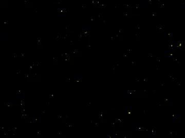 اكو غلط بل اكتابه منو يعرفه.              #اغاني                                        #اغاني_عراقيه                           #اغاني_مسرعه💥                           #اغاني_عراقيه_مسرعه💥🎧                             #مالي_خلق_احط_هاشتاقات 