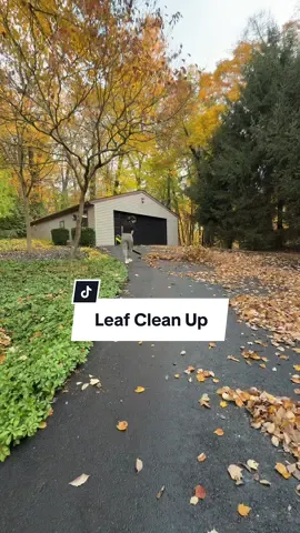 Ryobi for the win with leaf clean up 🙌🏼 #leafcleanup #leafcleaning #fallleaves #leaves #ryobitools #ryobi #fallcleanup #cleaning #satisfying 