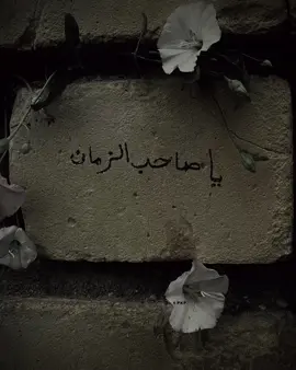 العجل يا صاحب الزمان#ياصاحب_الزمان_ادركنا #فاطمة_الزهراء #علي_بن_ابي_طالب#يوم_الجمعه  #الامام_الحسين_عليه_السلام #ياصاحب_الزمان #capcut #tiktok #اكسبلورexplore 