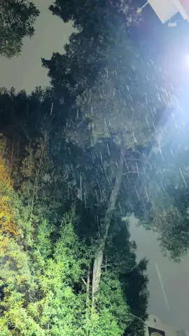 #اكسبلورexplore #اكسبلور #اكسبلور_فولو #جدة #جدة_الان 