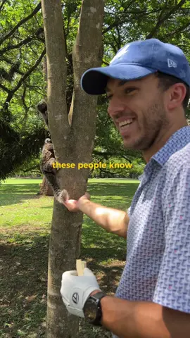 Cam you relate? 🏌🏼️▿ @Pierre Gasly #golf #f1 #sportstiktok 