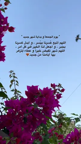 #اللهم_امين #یارب_العالمیــــــــــن🤲🏻🥺 