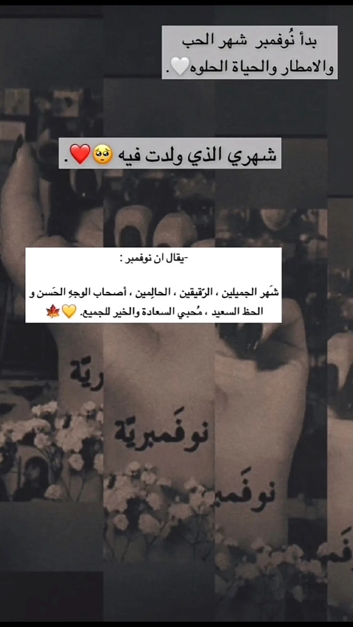 ‏11 نوفمبر ‏❤️✨سكر الحياة وطُهر الأرض، مواليد البداية، خلقوا لينصفوا بين الحب والعطاء، المُغرمُونْ بالهدُوء، ونصفُ أحاديثهم مُحتبسة في أعينهم، يقولون ويفعلون، يضحكون على أبسط الأمور، حضورهم يغني عن الكثير ولا يوجد أصفى من نقاء قلوبهم على الاطلاق ..