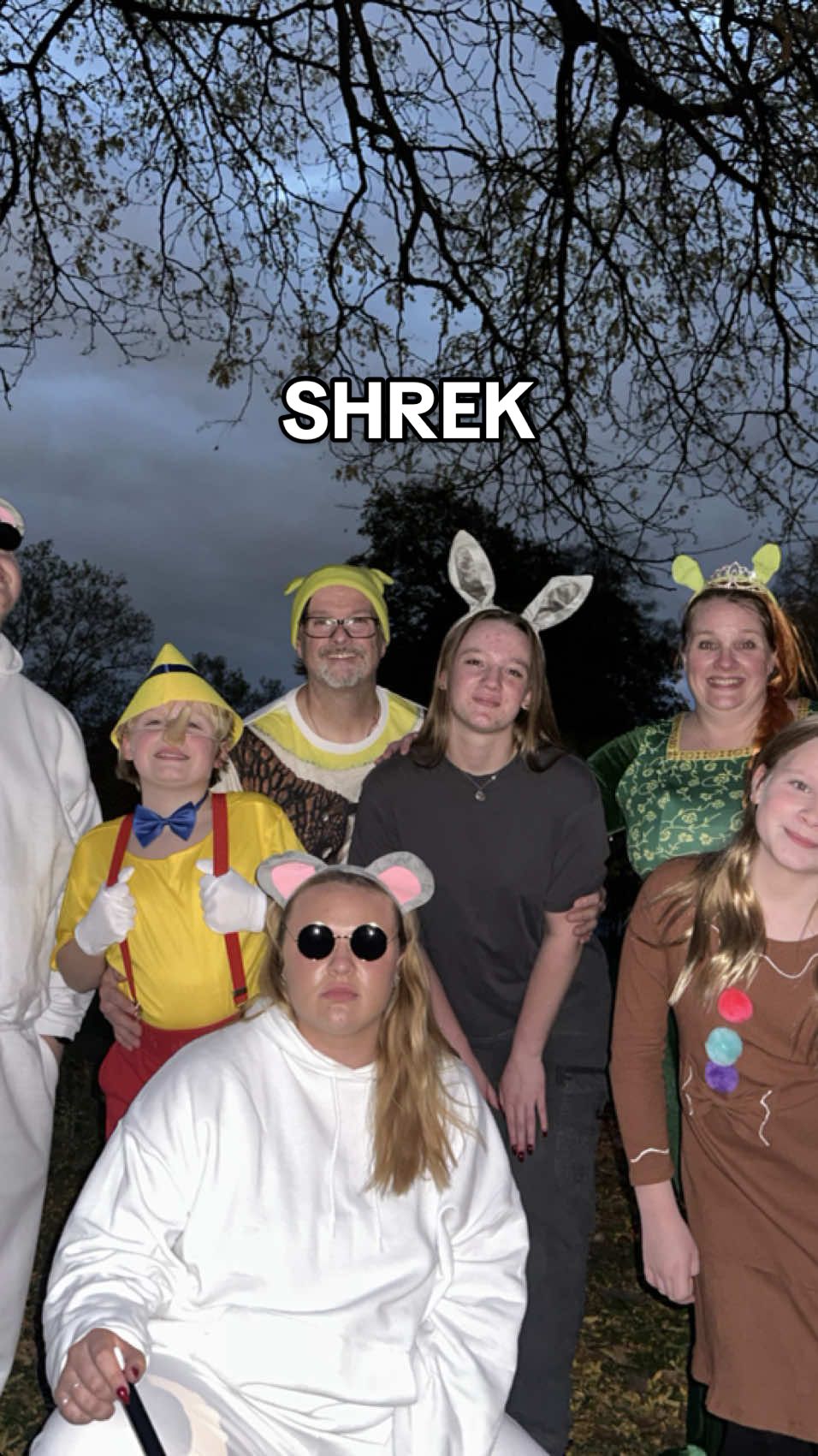 hey now, you're an allstar #shrekislove #fyp #halloween #halloween2024 #shrek #shrek2 @Morgan Shook @jay ‧͙⁺˚*･༓☾ @meryn!💓 @Miranda Shook @Zachary LaMere 