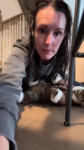 #kitten #kittensoftiktok #beansthecat #cat #halloween #catsofhalloween #halloweencat