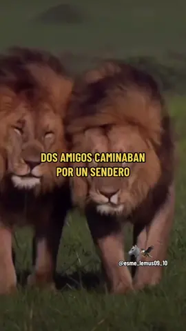 #frases #reflexiones #motivation #motivacional #con💘amor🐺🦅 #paratii #🐺🦅 #lobo #wolf #lion #leon #🍀❤️ #latinosunidos🐺🦅 