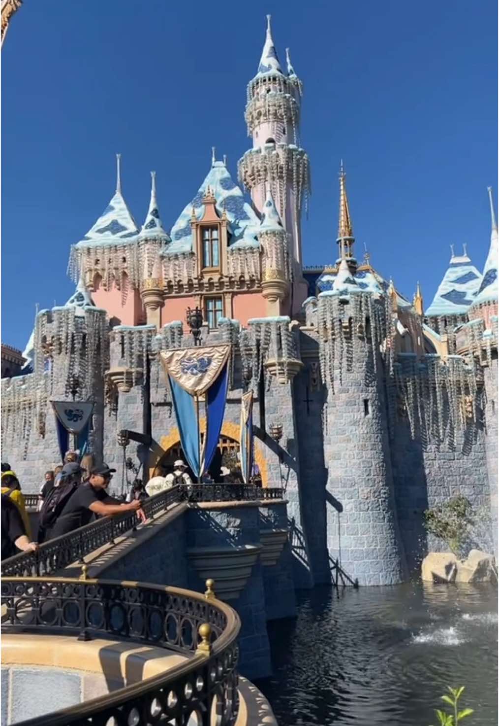 finally 15🙈💞#disneyland #15años #birthday 