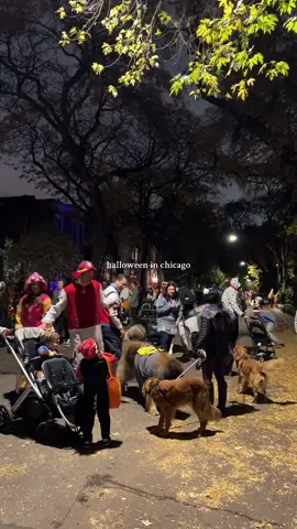 happy halloween 👻