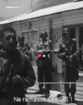 تحيا الجزائر ❤🇩🇿 #fyp #explore #videoviral #viralvideos #اكسبلور #اكسبلورexplor #الجزائر🇩🇿 #1_نوفمبر_1954 #dz #algeria #alger #🇩🇿 #pourtoi 