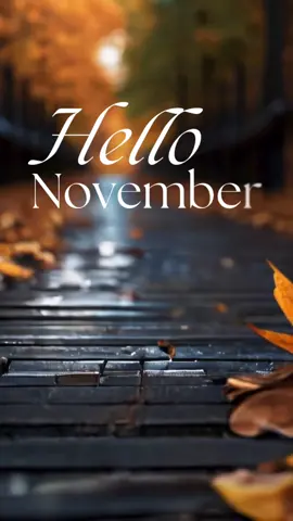 Hello November 2024 🍂 New month, new energy! Let’s make every moment count. #NovemberVibes #NewMonthNewGoals November #november2024 #HelloNovember #wellhealedworld 