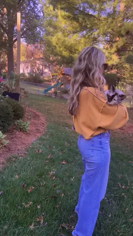 “”We have taylor at home”” @Taylor Nation #taylorswift #erastour #taylorsversion 