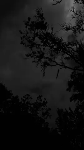 ☝️ #sekedarkata #𝙼𝚄𝙽𝙰𝙵𝙸𝙺 