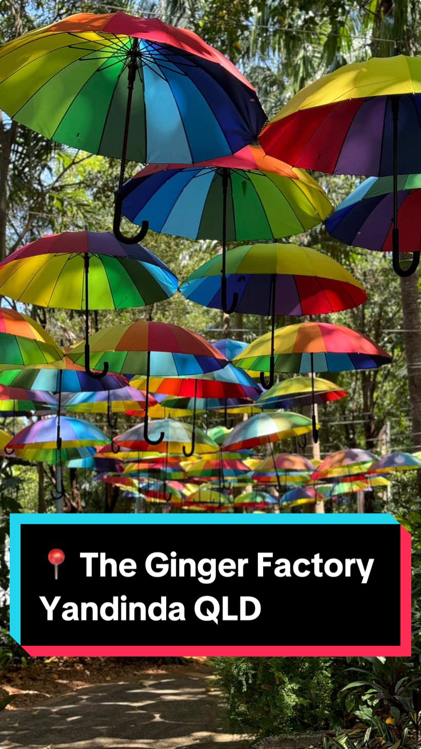 📍 The Ginger Factory, 50 Pioneer Rd, Yandina QLD 4561 Free entry or rides are $11.50 for the train and $14.50 for the boat (under 4s are free). A live bee show or ginger factory tours are also available! Play all day (unlimited rides) for $29.53 pp (4+) Highly recommend for a fun day out! @Queensland, Australia @Visit Sunshine Coast  #thegingerfactory #ginger #todoqueensland #todoaustralia #australiawithkids #sunshinecoast #qld #qldwithkids 