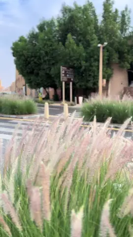 #riyadh🇸🇦 #fyp #lunchroom #Diriyah 