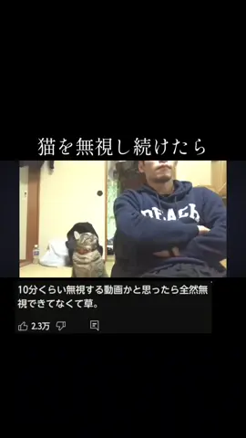 1000万超えYouTube動画 #バズらせて #懐かしい #運営さん大好き #面白い #可愛い #ペット #ミリオン動画 #猫